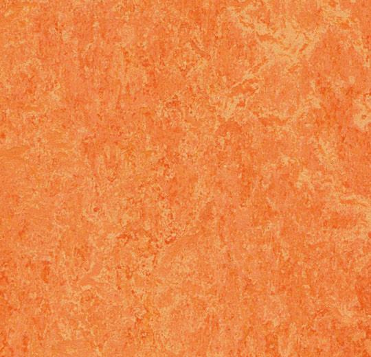 3241 Orange Sorbet