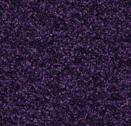 5709 Royal Purple (NEW)