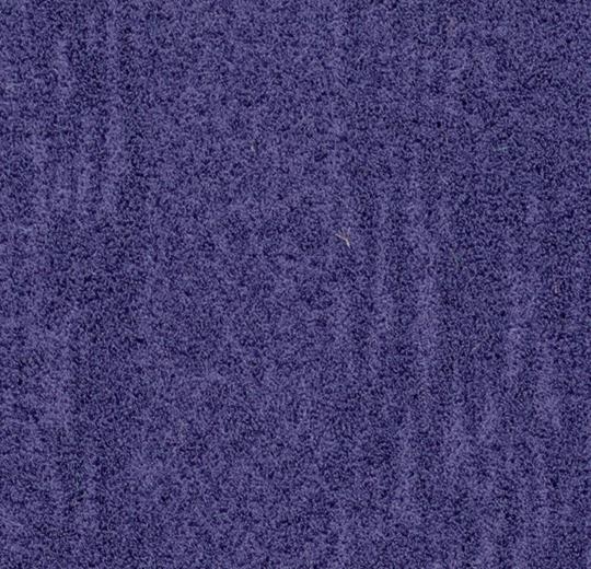 s482024/t382024 Purple